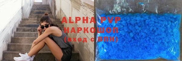 индика Володарск