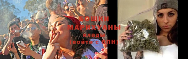 индика Володарск