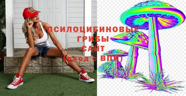 прущие крисы Богданович
