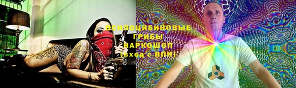 дмт Бронницы
