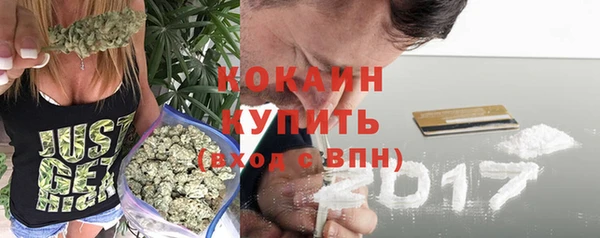 дмт Бронницы